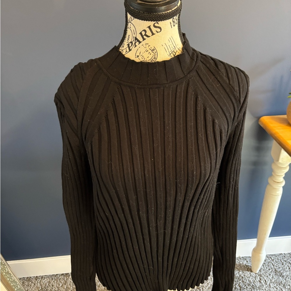 Cabi Contour Turtleneck XL in EUC